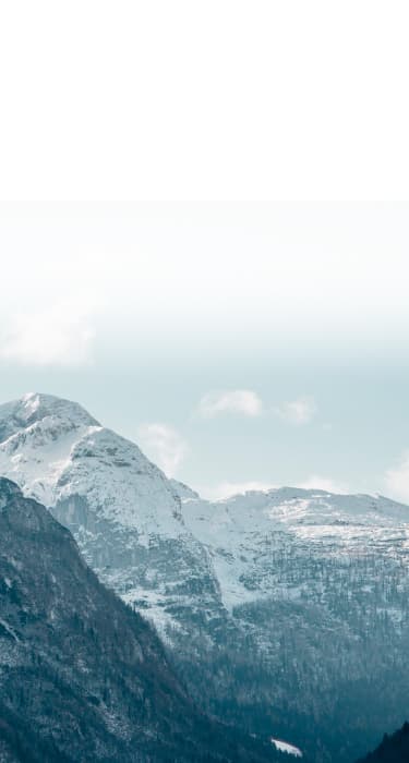 menu background